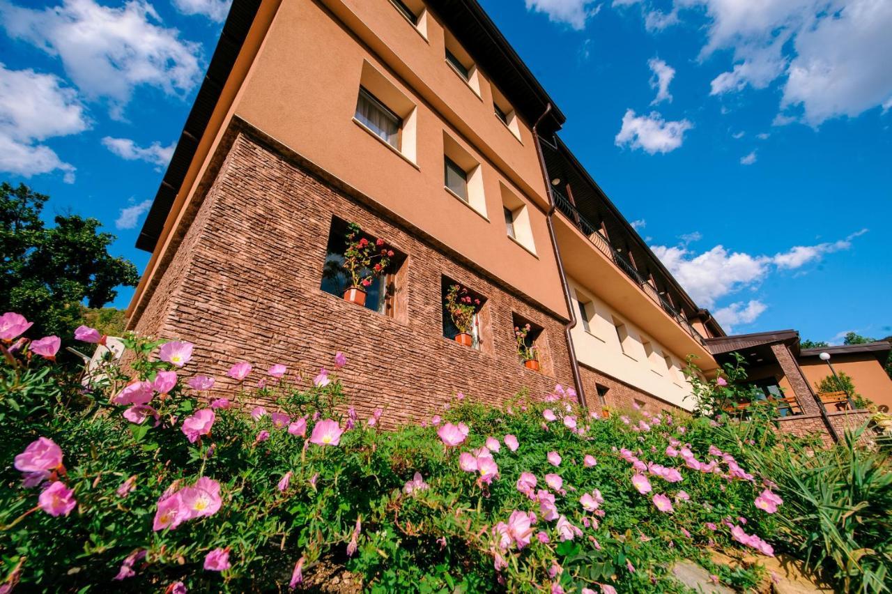 Пиргуля Hotel Miladinovci Kültér fotó
